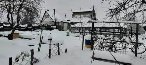 Дом в Брянск, садовое объединение Вишня-1, Зелёная улица (28.8 м)