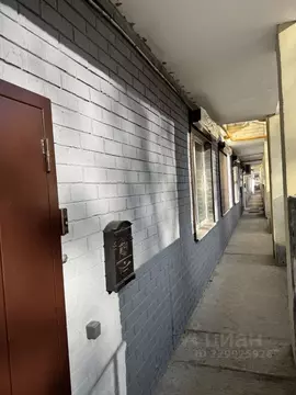 Помещение свободного назначения в Воронежская область, Воронеж ...