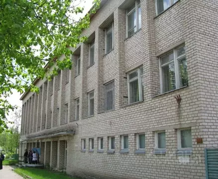 Помещение свободного назначения в Смоленская область, с. Ершичи ул. ...