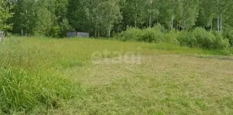 Участок в Свердловская область, Екатеринбург муниципальное ...