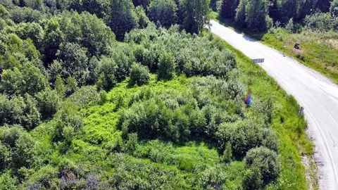 Участок в Карелия, Лахденпохский муниципальный округ, пос. Ихала  ...