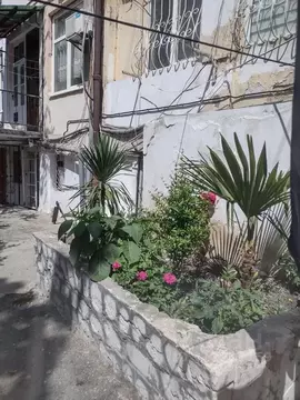 2-к кв. Крым, Ялта ул. Дражинского, 19 (40.0 м)