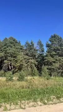 Участок в Московская область, Волоколамский муниципальный округ, с. ...