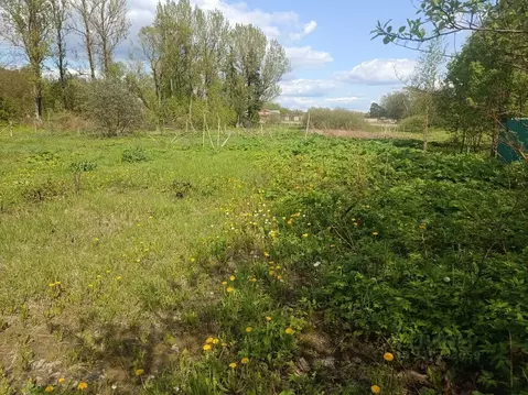 Участок в Московская область, Солнечногорск городской округ, Чашниково ...