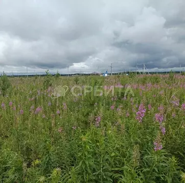 Участок в Тюменская область, Тюменский район, с. Успенка ул. ...