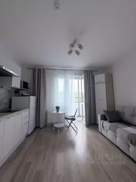 Студия Санкт-Петербург наб. Реки Каменки, 19к3 (19.2 м)
