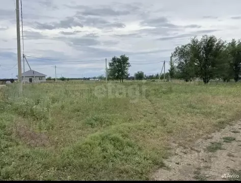 Участок в Саратовская область, Энгельсский район, пос. Новопушкинское ...