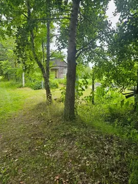 Участок в Хабаровский край, Хабаровский район, Тополевское с/пос, с. ...