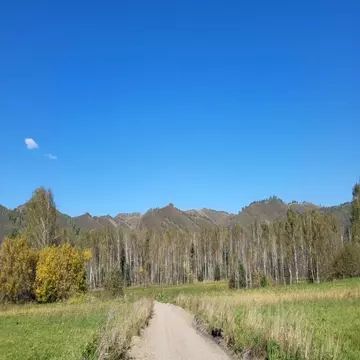 Участок в Алтай, Майминский район, Соузгинское с/пос, пос. Черемшанка ...