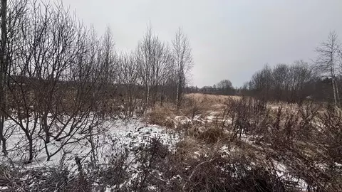 Участок в Московская область, Клин городской округ, д. Ватолино  (15.0 ...