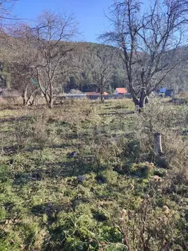 Участок в Алтай, Усть-Коксинский район, пос. Гагарка Центральная ул., ...