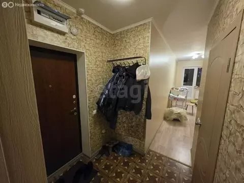 1-комнатная квартира: посёлок Шушары, Новгородский проспект, 8 (39.2 ...