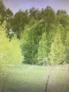 Участок в Нижегородская область, Нижний Новгород д. Фроловское, 1 ...