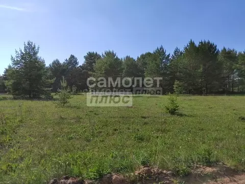 Участок в Калужская область, Дзержинский муниципальный округ, Дворцы ...