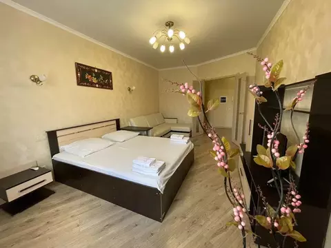 1-к кв. Брянская область, Брянск Красноармейская ул., 42 (50.0 м)