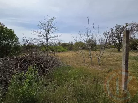 Участок в Крым, Сакский район, Митяевское с/пос, Эскулап СНТ  (5.0 ...