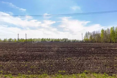 Участок в Тюменская область, Тюменский муниципальный округ, с. ...