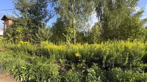 Участок в Нижегородская область, Нижний Новгород Грушевая ул., 22 (8.0 ...