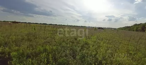 Участок в Белгородская область, Старый Оскол ул. Художника Зубова ...