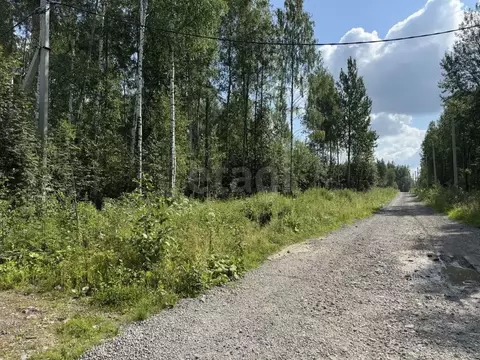 Участок в Вологодская область, Череповец ул. Жемчужная (8.0 сот.)