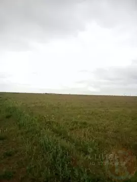 Участок в Крым, Сакский район, Ромашкинское с/пос, с. Колоски  (6.0 ...