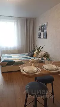 Студия Ленинградская область, Мурино Всеволожский район, ул. Шувалова, ...