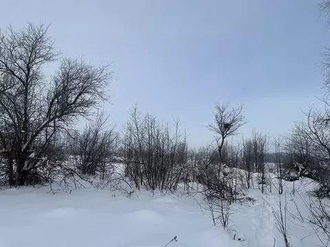 Участок в Московская область, Серебряные Пруды муниципальный округ, д. ...