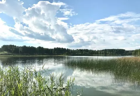 Участок в Новгородская область, Валдайский район, Рощинское с/пос, д. ...