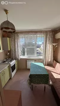 1-комнатная квартира: посёлок Плодовое, Центральная улица, 15 (36 м)