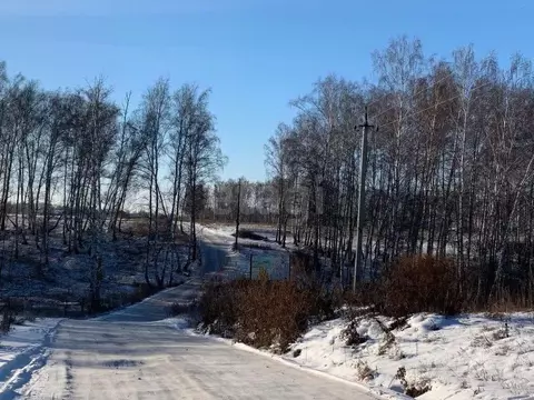 Участок в Новосибирская область, Новосибирский район, Морской ...