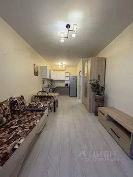 1-к кв. Санкт-Петербург ш. Суздальское, 28к2 (45.0 м)