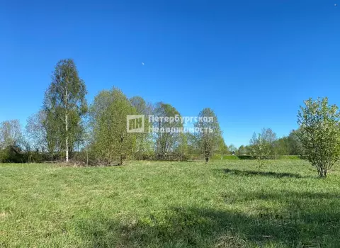 Участок в Ленинградская область, Кировский район, Шумское с/пос, д. ...