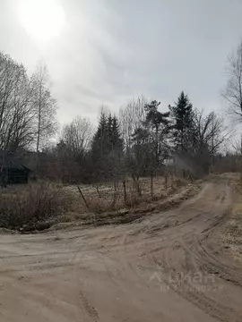 Участок в Новгородская область, Маловишерский муниципальный округ, ...