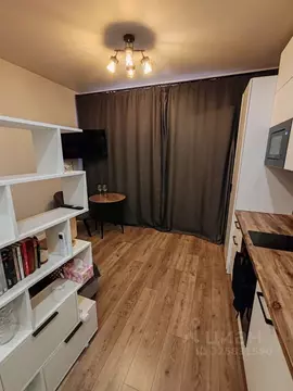 Студия Москва проезд Серебрякова, 11к2 (22.0 м)