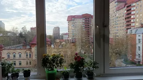 4-комнатная квартира: Пушкино, Московский проспект, 50 (80 м)