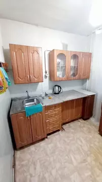 2-к кв. Иркутская область, Иркутск ул. Сибирских Партизан, 24 (45.0 м)