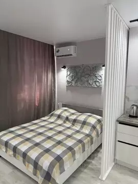 Студия Ростовская область, Ростов-на-Дону просп. Ленина, 46/2 (27.0 м)