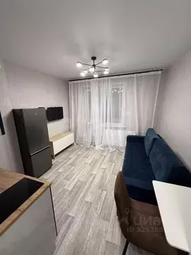 Студия Новосибирская область, Новосибирский район, Станционный ...