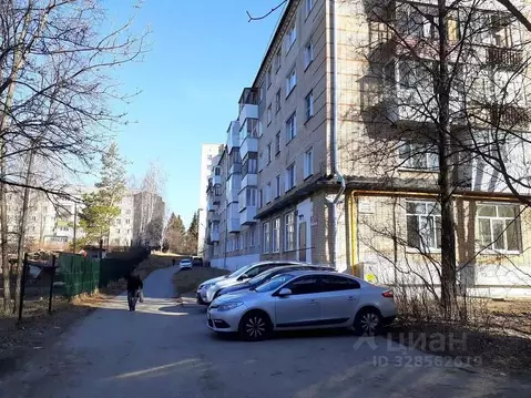 3-к кв. Челябинская область, Златоуст Дворцовая ул., 7Б (57.4 м)