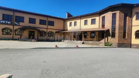 Помещение свободного назначения в Челябинская область, Сосновский ...