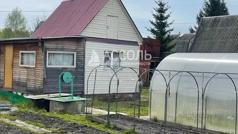 Дом в Омская область, Омск СОСН Горняк тер., аллея 5-я (20 м)