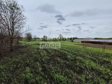 Участок в Калужская область, Дзержинский район, Дворцы с/пос, д. ...