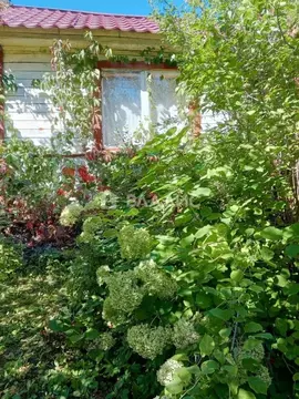 Дом в Владимирская область, Владимир № 4 имени 50-летия Октября сад,  ...