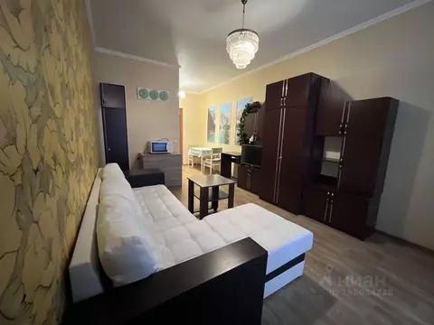 Студия Санкт-Петербург просп. Просвещения, 43 (25.0 м)