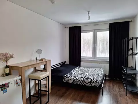 Студия Санкт-Петербург ул. Пейзажная, 26 (20.0 м)