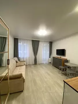 Студия Тульская область, Тула ул. Купцов Гречихиных, 10 (27.0 м)