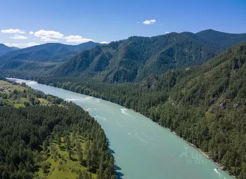 Участок в Алтай, Майминский район, с. Усть-Муны Набережная ул., 58 ...