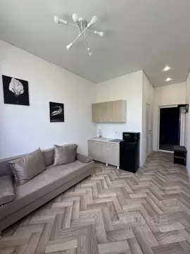 Студия Тюменская область, Тюмень ул. Пермякова, 43А (17.0 м)