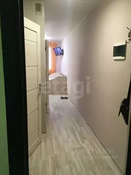 Студия Санкт-Петербург пос. Шушары, просп. Новгородский, 4 (23.2 м)