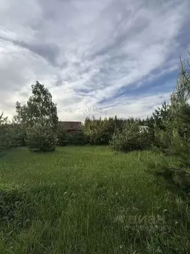 Участок в Белгородская область, Старый Оскол Красная ул. (12.0 сот.)
